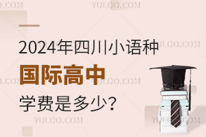 2024���Ĵ�С���ֹ��ʸ���ѧ���Ƕ��٣�