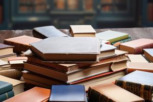 2024年滨州学院乘务学院招生计划人数是多少？