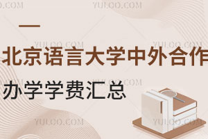 北京语言大学中外合作办学学费