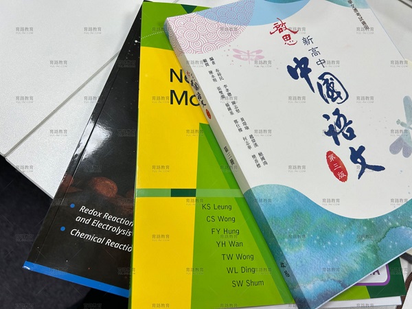 北京东方红学校明德学院香港DSE项目怎么样