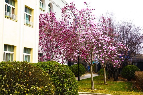 �������ҵ�ѧУ���ʰ���ô��