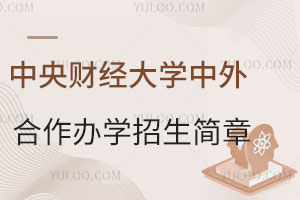 中央财经大学中外合作办学招生简章