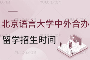 北京语言大学中外合作办学留学招生时间是什么时候？