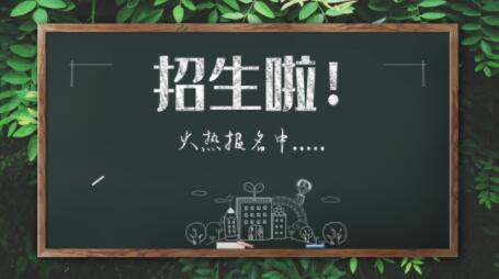 北京新府学外国语学校2024年招生计划
