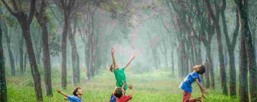 北京明诚外国语学校洪堡学院德奥高中预备班招生对象