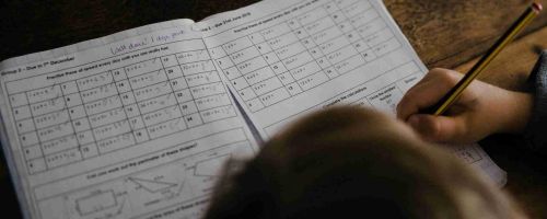 北京新府学外国语学校2024年采用哪些课程体系