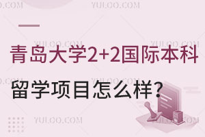 青岛大学2+2国际本科留学项目怎么样？