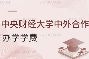 中央财经大学中外合作办学学费是多少呢？