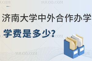 2024年济南大学中外合作办学学费是多少？