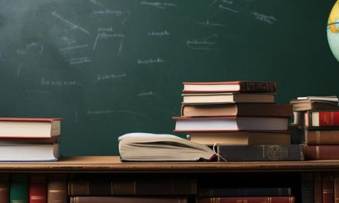 2024年北京市丰台区新北赋学校学费标准汇总!含小初高各年级