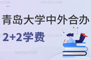 青岛大学中外合作办学2+2留学学费是多少？