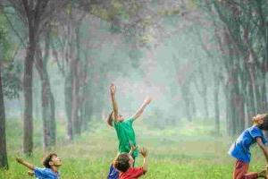 �������������ѧУ�鱤ѧԺ�°¸���Ԥ������������