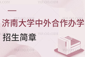 济南大学中外合作办学招生简章