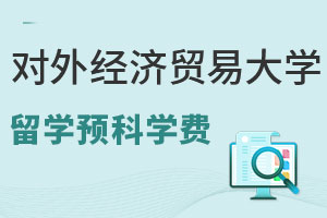 对外经济贸易大学中外合作办学留学预科学费是多少？