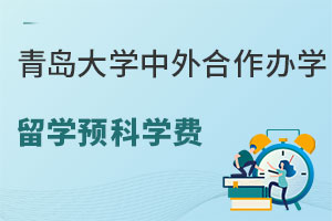 青岛大学中外合作办学留学预科学费