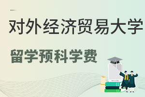 对外经济贸易大学出国留学预科中外合作办学学费是多少？