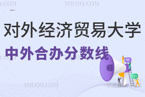 2024年对外经济贸易大学出国留学中外合作办学分数线是多少？