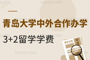 青岛大学中外合作办学3+2留学学费是多少？