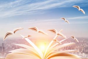 2025年广东高考300分能上几本?