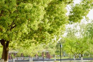 ѡ��ɻ������豸ά��רҵ�ĺô���ʲô��