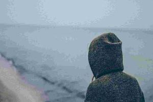 ����������С������������Ҫ�㣬2024��С�����ҳ���֪��