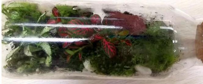 爱迪优秀学生专访 |白子翰