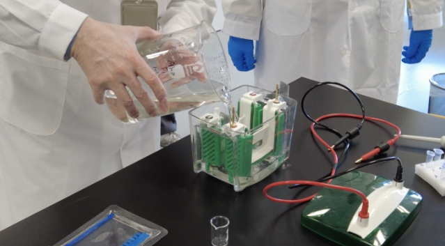 �����г���������ѧУ�ƴ���Ŀ