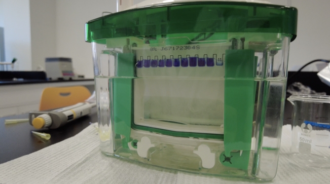 �����г���������ѧУ�ƴ���Ŀg