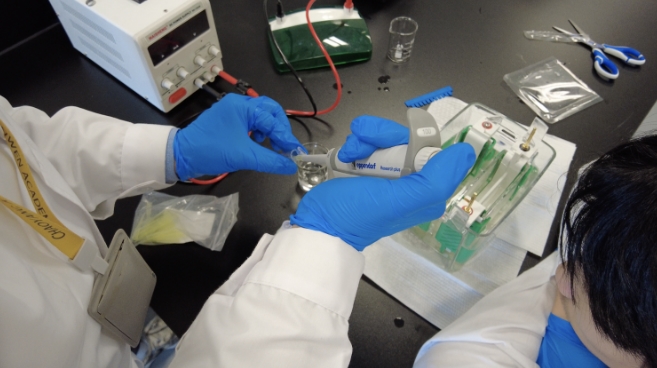 �����г���������ѧУ�ƴ���Ŀ