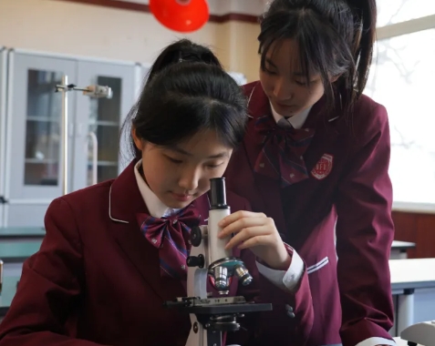 北京东方红学校于5月12日举行校园开放日活动!报名进行中