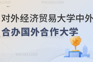 2024年对外经济贸易大学中外合作办学国外合作大学有哪些？