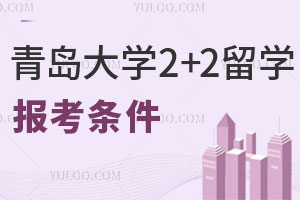 青岛大学国际本科2+2留学报考条件有哪些？