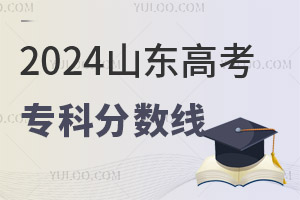 2024ɽ߿רƷǶ٣2020-2024