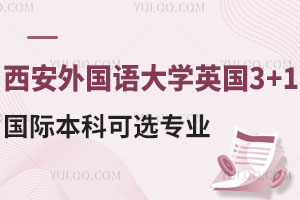 西安外国语大学英国3+1国际本科可选专业有哪些？