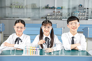 北京东方红学校有哪些办学优势？这篇文章讲清楚了
