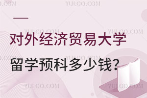 对外经济贸易大学留学预科多少钱？
