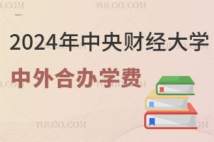 2024年中央财经大学中外合作办学学费盘点