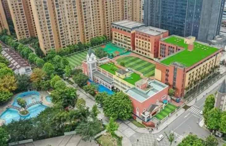 ĴѧУ̽У߽ɶֶٹѧ