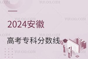 2024ո߿רƷǶ٣2017-2024