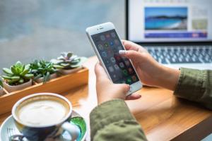 2024���������רҵ�߿�ѡ�����