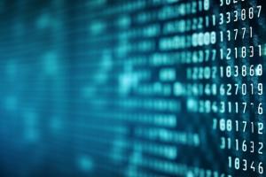 2024����߻���༭רҵ��ҵ��������Щ��