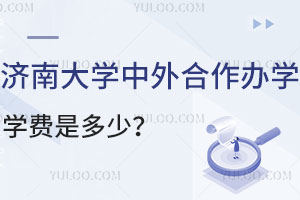 2024年济南大学中外合作办学学费及录取条件