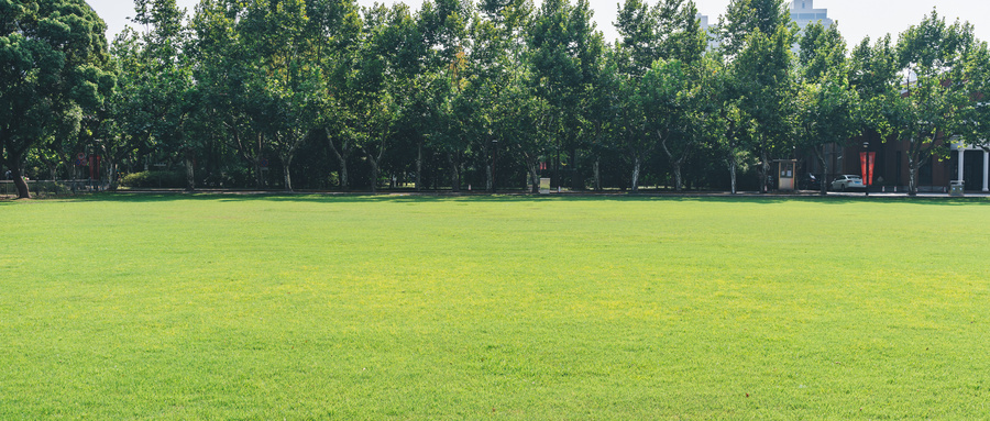 2024年高考多少分能上云南现代职业技术学院?附:2023年投档参考分数