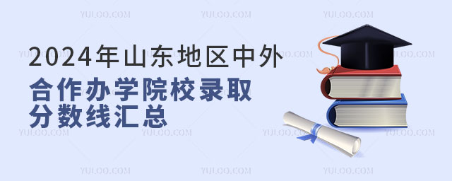 山东地区中外合作办学院校录取分数线.jpg