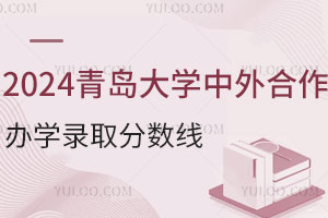 2024青岛大学中外合作办学录取分数线