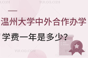 2024年温州大学中外合作办学学费一年是多少？
