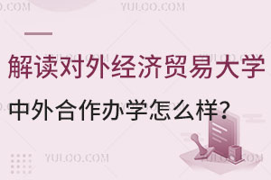 解读对外经济贸易大学中外合作办学怎么样？