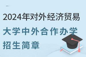 2024年对外经济贸易大学中外合作办学招生简章