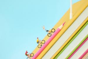 2024ӱʡְпרҵǣͷԺУ