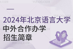 2024年北京语言大学中外合作办学招生简章